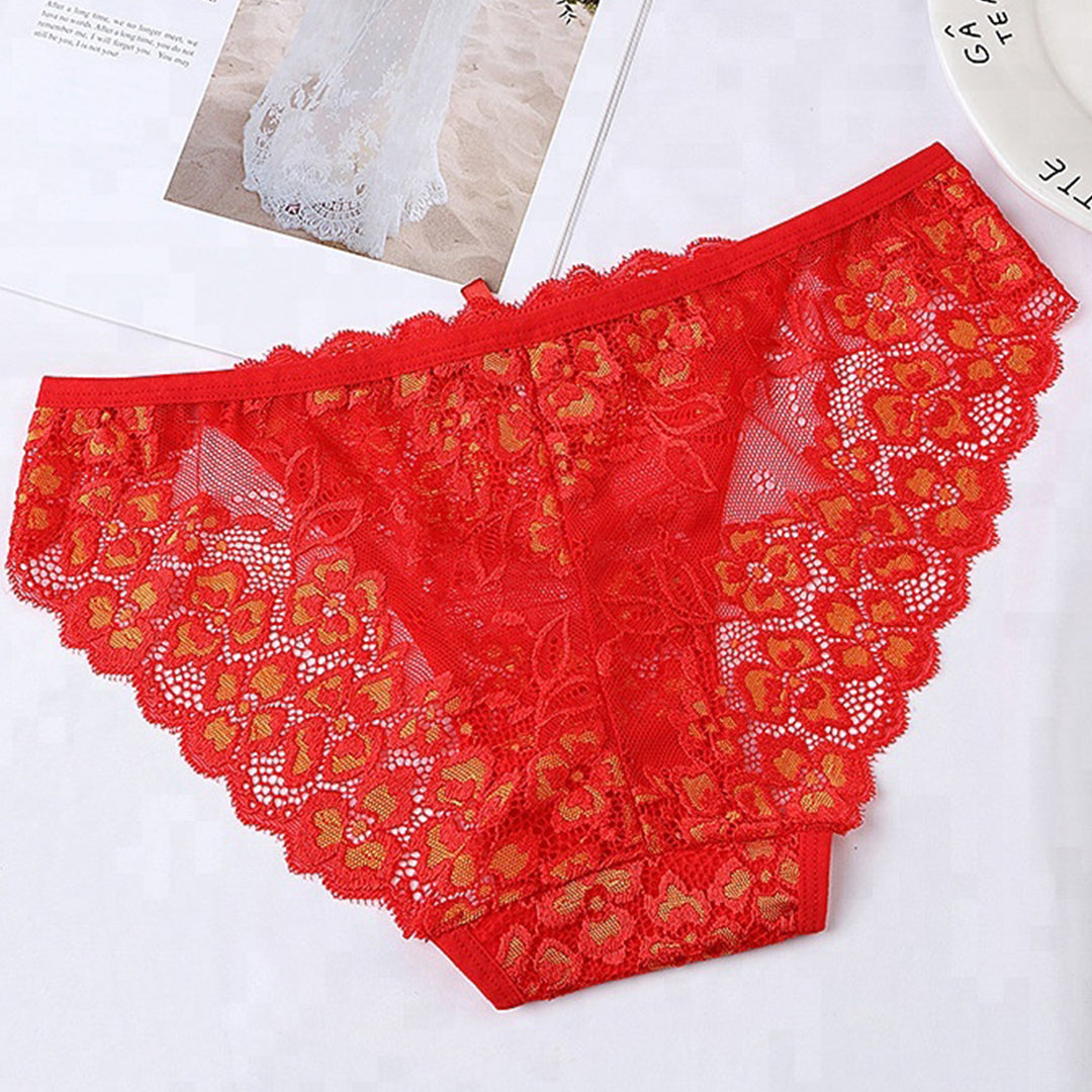 Red Embroidered Net Panty – Womens Mart