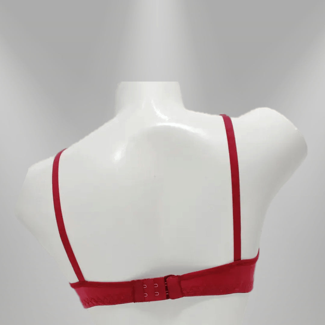 Embroidery Soft Net Bra
