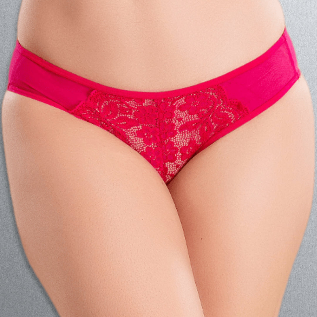 Embroidered Net Panty